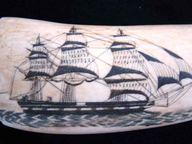 Possibly the Most Beautiful pair of 19th century American Whale's Teeth on the Market Today!! — image 4